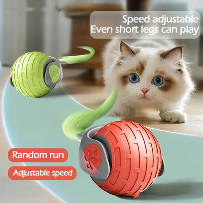 Interactive Cat Ball - Automatic Electric Toy
