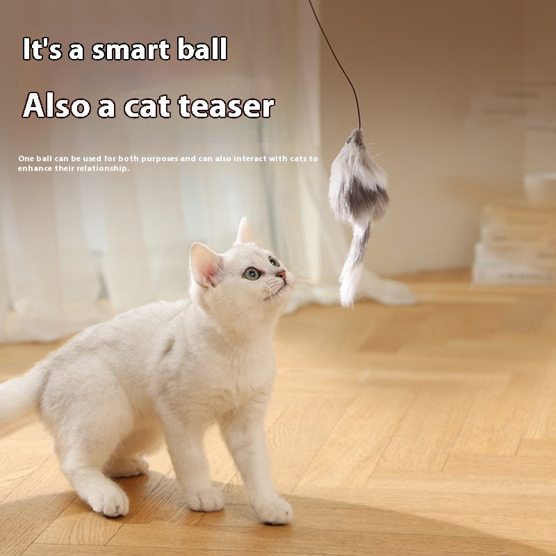 Interactive Mouse Teaser Ball – Smart Moving Toy for Curious Cats