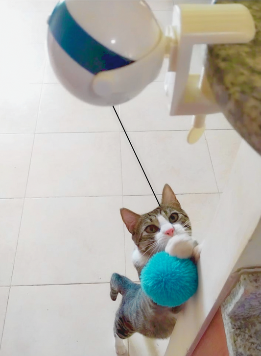 Automatic Interactive Cat Toy with Smart Lifting Motion