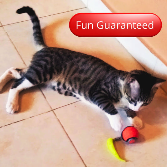 Interactive Cat Ball - Automatic Electric Toy