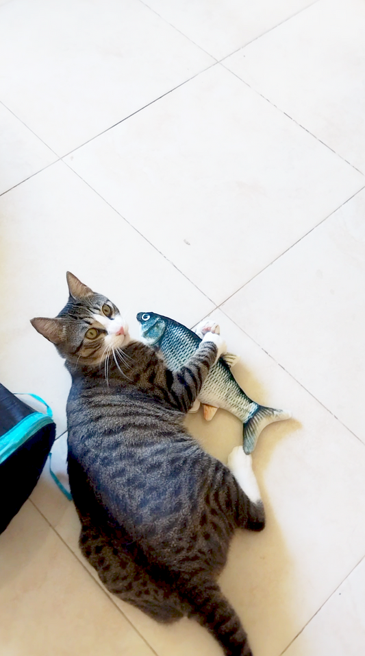 Interactive Cat Fish Toy 🐟 | Instantly Triggers Your Cat’s Hunting Instinct