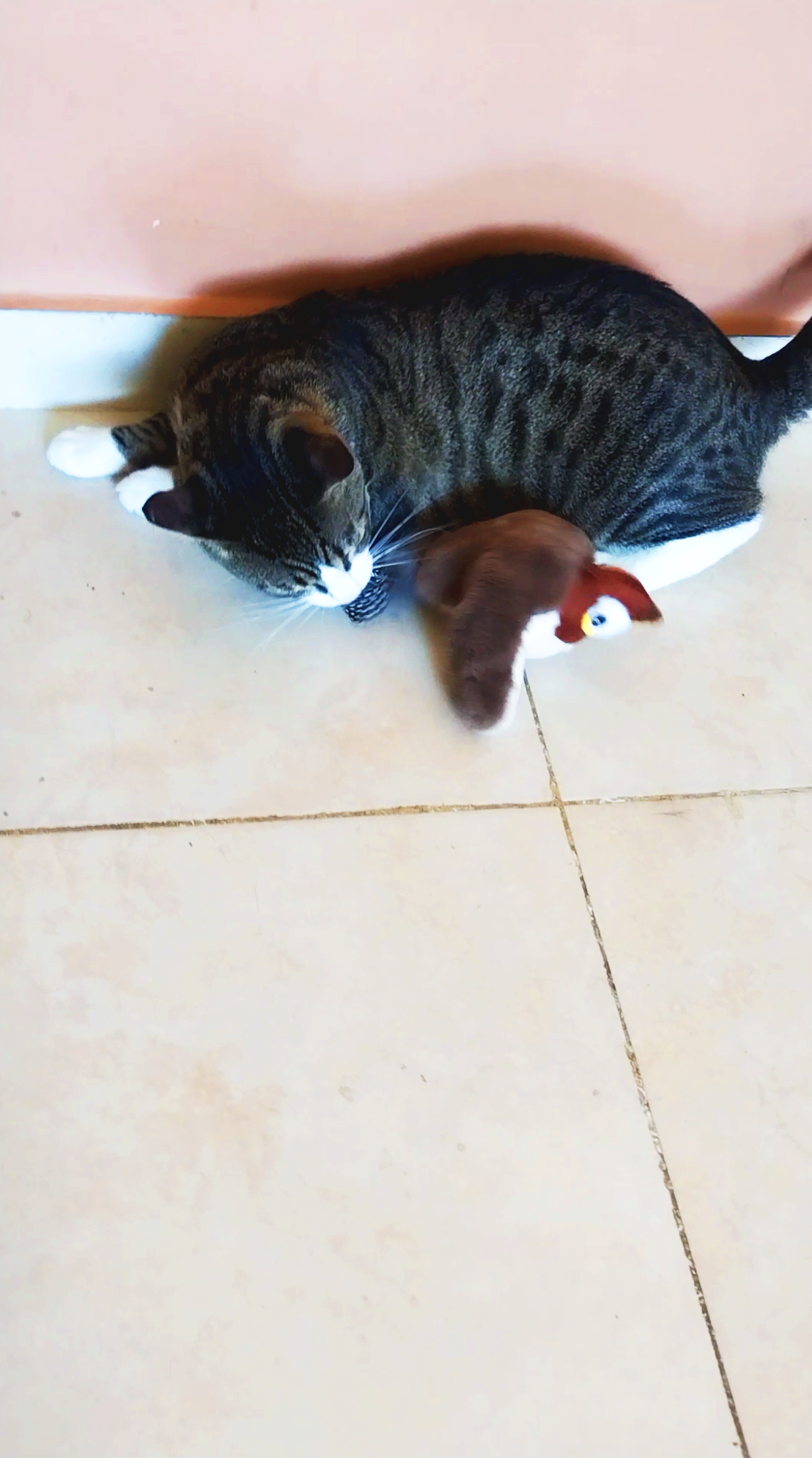 Juguete Inteligente de Ave para Gatos – Mantiene a tu Gato Activo