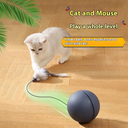Interactive Mouse Teaser Ball – Smart Moving Toy for Curious Cats