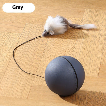Interactive Mouse Teaser Ball – Smart Moving Toy for Curious Cats