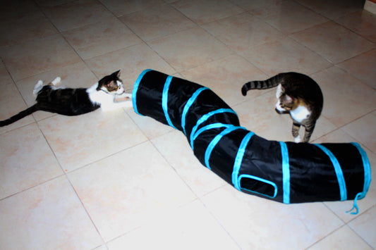 Foldable S-Shaped Interactive Cat Tunnel for Active Play