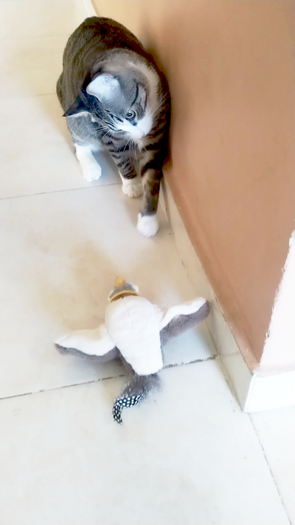 Juguete Inteligente de Ave para Gatos – Mantiene a tu Gato Activo
