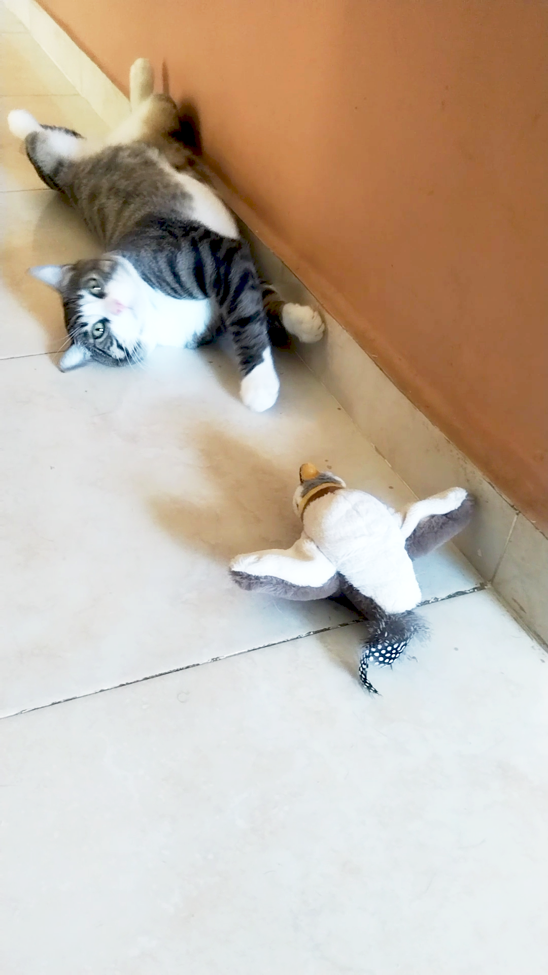 Juguete Inteligente de Ave para Gatos – Mantiene a tu Gato Activo