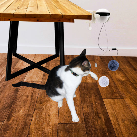 Automatic Interactive Cat Toy with Smart Lifting Motion